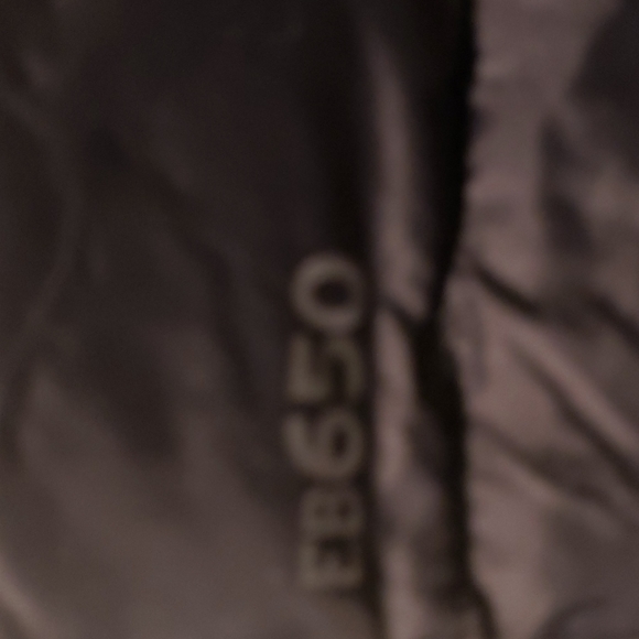 NWT! 🎉2XHost Pick🎉Eddie Bauer Microlight Down Parka - Picture 3 of 15